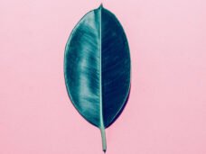 shutterstock_330607094