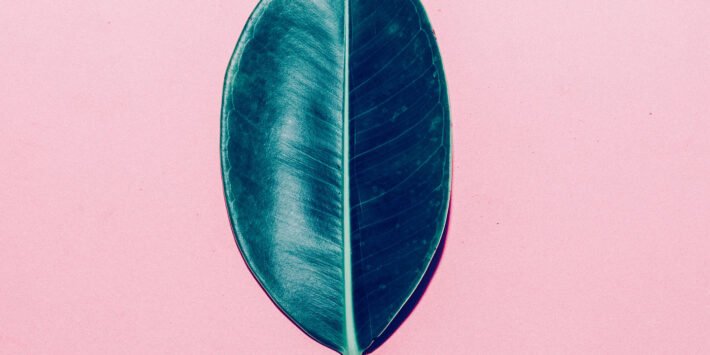 shutterstock_330607094