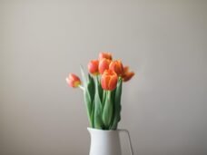 stock-photo-147024479