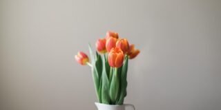 stock-photo-147024479