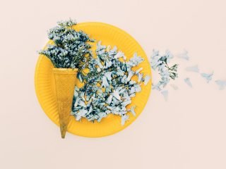 shutterstock_377377564