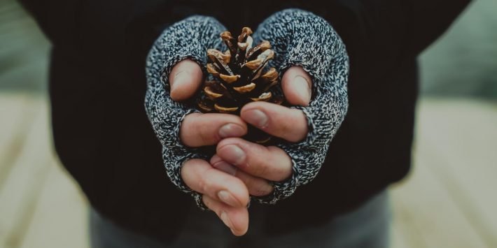 shutterstock_351462788