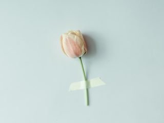 shutterstock_401835412