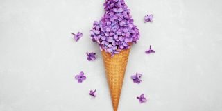 shutterstock_428477077