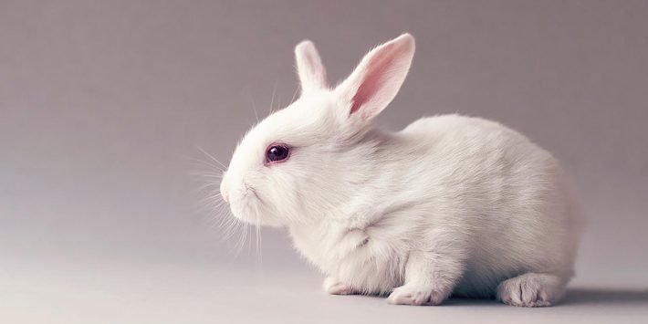 stock-photo-144092725