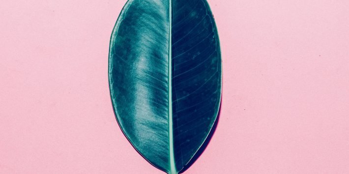 shutterstock_330607094