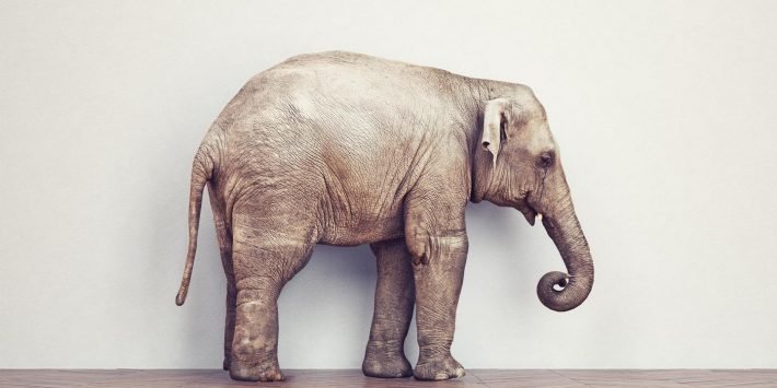 shutterstock_329770931