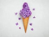 shutterstock_428477077