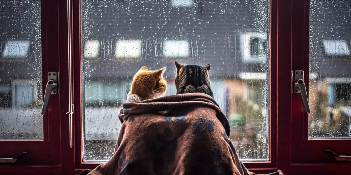 stock-photo-151463427