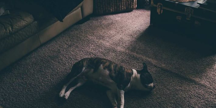 stock-photo-175874933