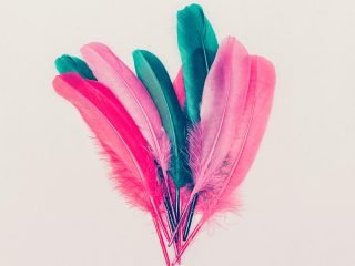 shutterstock_314933909