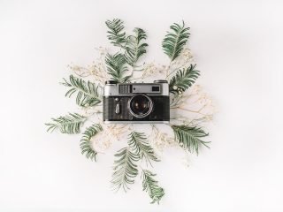 shutterstock_391747075