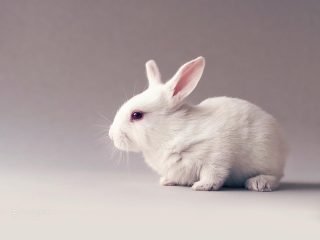 stock-photo-144092725