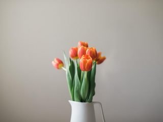 stock-photo-147024479