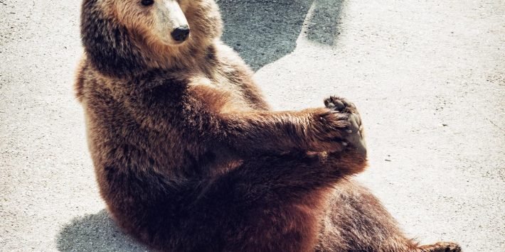 shutterstock_341861768