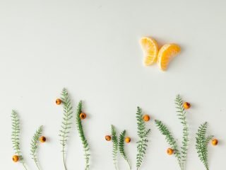 shutterstock_389008990