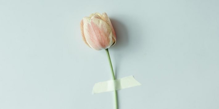 shutterstock_401835412