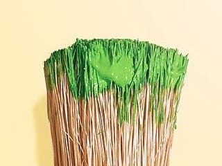 12479155_1707688909442824_533156374_n 2