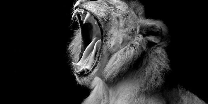 shutterstock_196287416