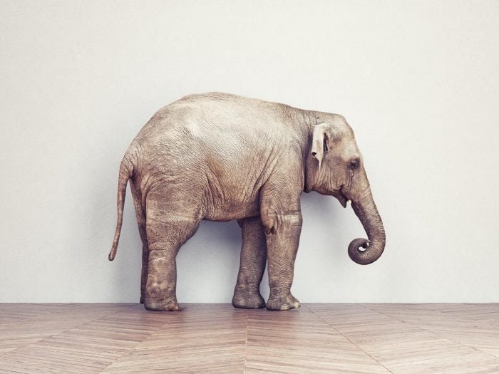 shutterstock_329770931