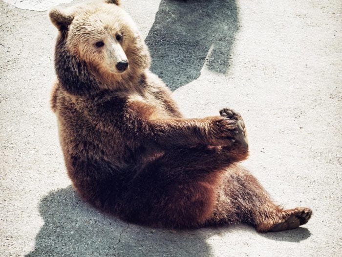 shutterstock_341861768