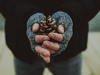 shutterstock_351462788