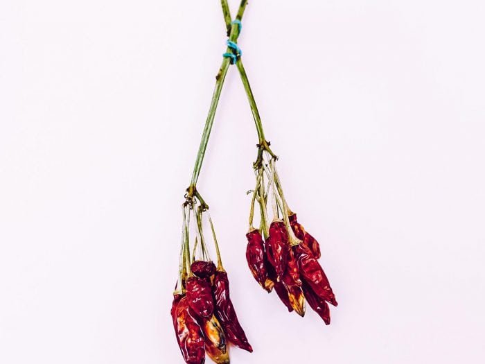 shutterstock_362699270