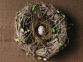 shutterstock_380305366