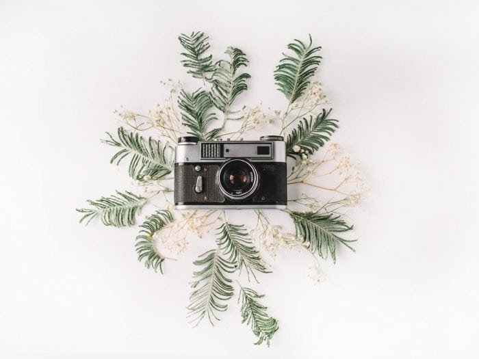 shutterstock_391747075
