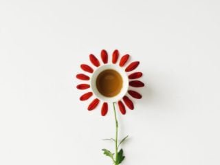 shutterstock_405696880