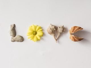 shutterstock_415996519
