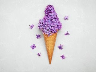 shutterstock_428477077