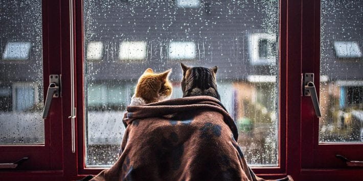 stock-photo-151463427