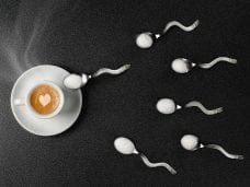 stock-photo-64533965