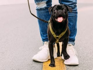 leonides-ruvalcabar-738807-unsplash