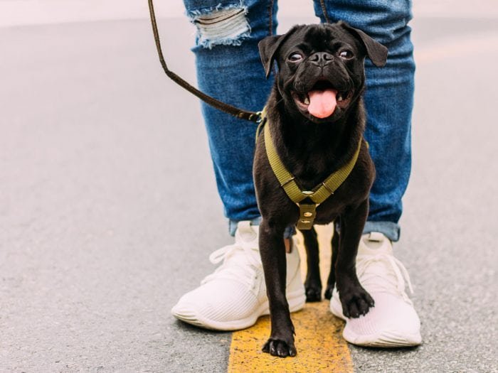 leonides-ruvalcabar-738807-unsplash