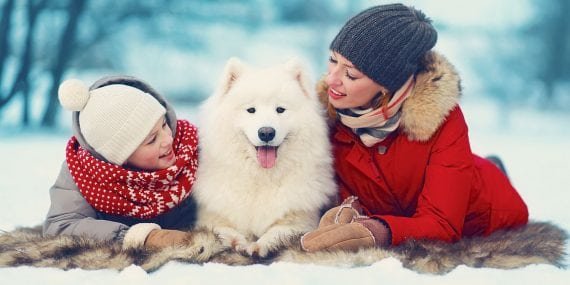 shutterstock_225335716