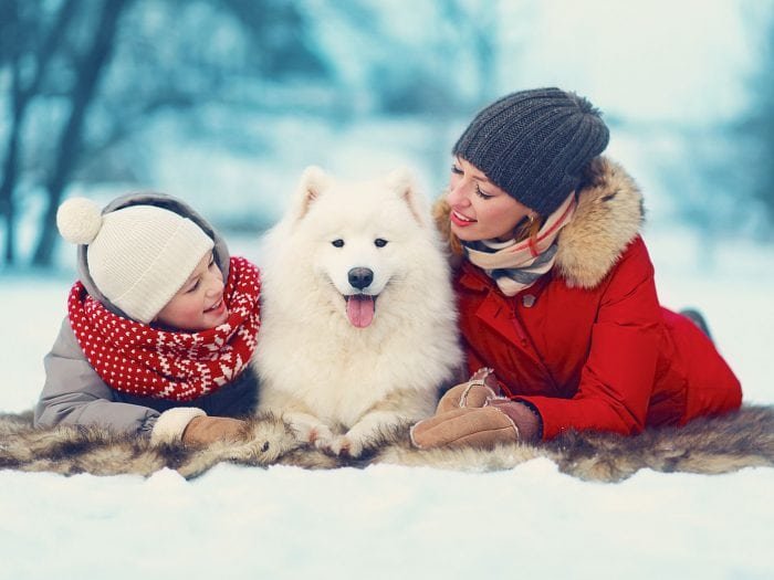 shutterstock_225335716
