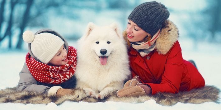 shutterstock_225335716
