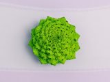 shutterstock_406398091