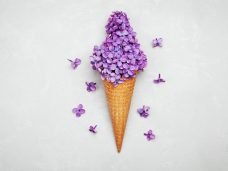 shutterstock_428477077