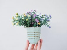 shutterstock_435582361