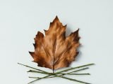 shutterstock_394255891