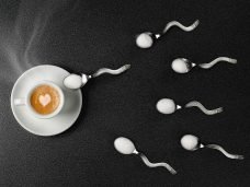 stock-photo-64533965