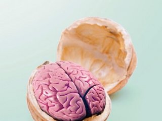 12407324_857209197725041_405918890_n 2