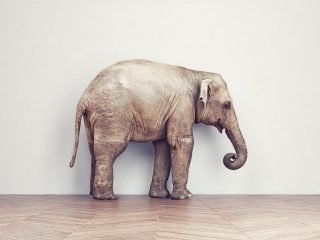 shutterstock_329770931