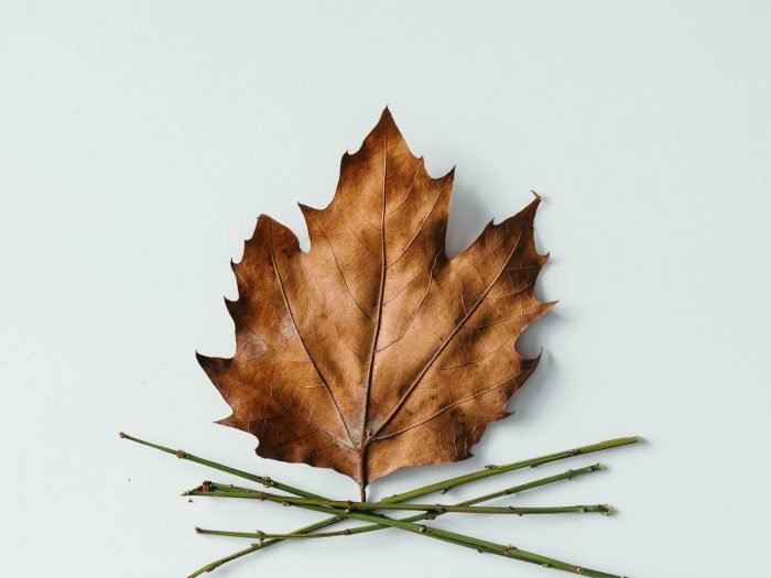 shutterstock_394255891