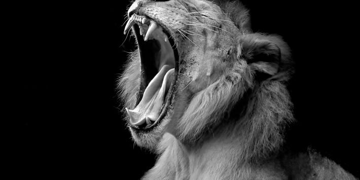 shutterstock_196287416