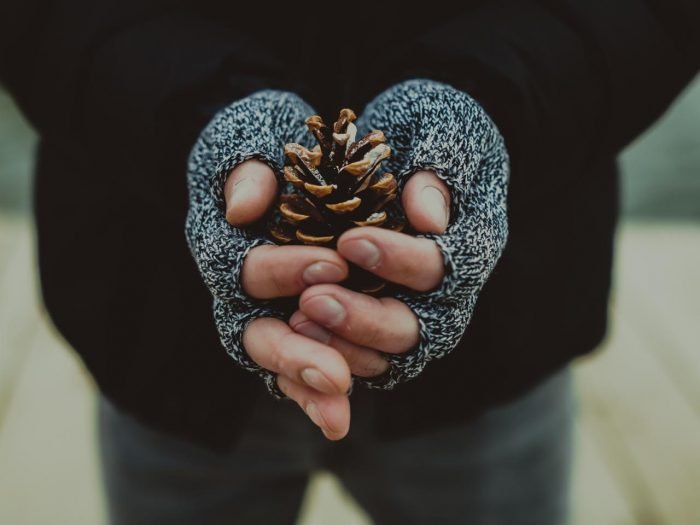 shutterstock_351462788