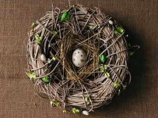 shutterstock_380305366